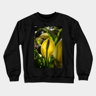 Skunk cabbage Crewneck Sweatshirt